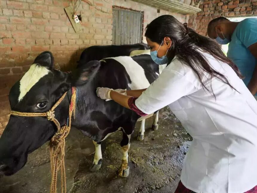 રાજ્યમાં છેલ્લા ત્રણ વર્ષ દરમિયાન કુલ ૨૫૫ નવા સ્થાયી પશુ દવાખાના સ્થાપવામાં આવ્યા, 200 દવાખાનાને મંજૂરી અપાઈ 1 pashu davakhanu