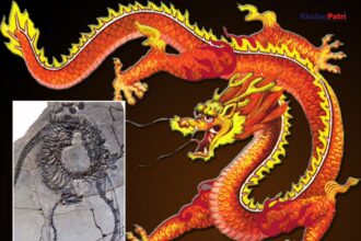 dregon