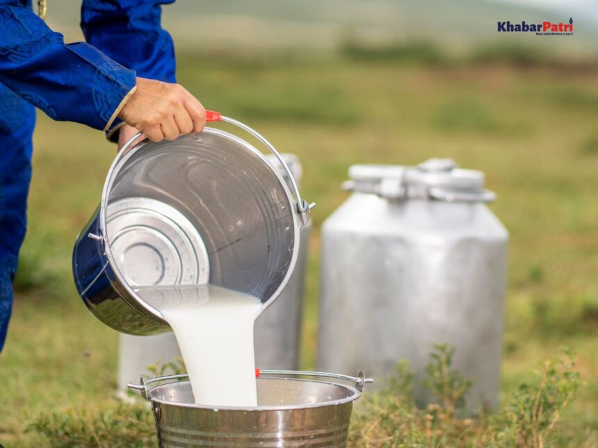 દુનિયાનું એવું પ્રાણી જેના દુધમાં હોય છે 60 ટકાથી વધુ આલ્કોહોલ, પીવાથી ચડે છે દારુ જેવો નશો 1 milk