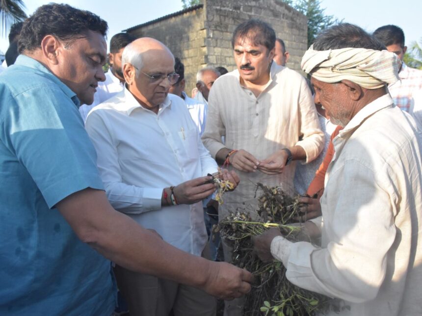 મુખ્યમંત્રી ભૂપેન્દ્ર પટેલ કમોસમી વરસાદથી અસરગ્રસ્ત વિસ્તારોના ખેડૂતોની પડખે ઉભા રહ્યા 1 CM Bhupendra Patel