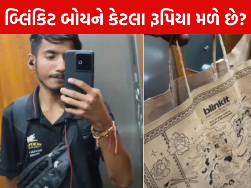 15 કલાક સતત ડિલીવરી કર્યા પછી બ્લિંકિટ બોયને કેટલા મળ્યાં રૂપિયા, જાણીને ચોંકી જશો 1 blinkit