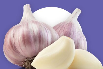 garlic
