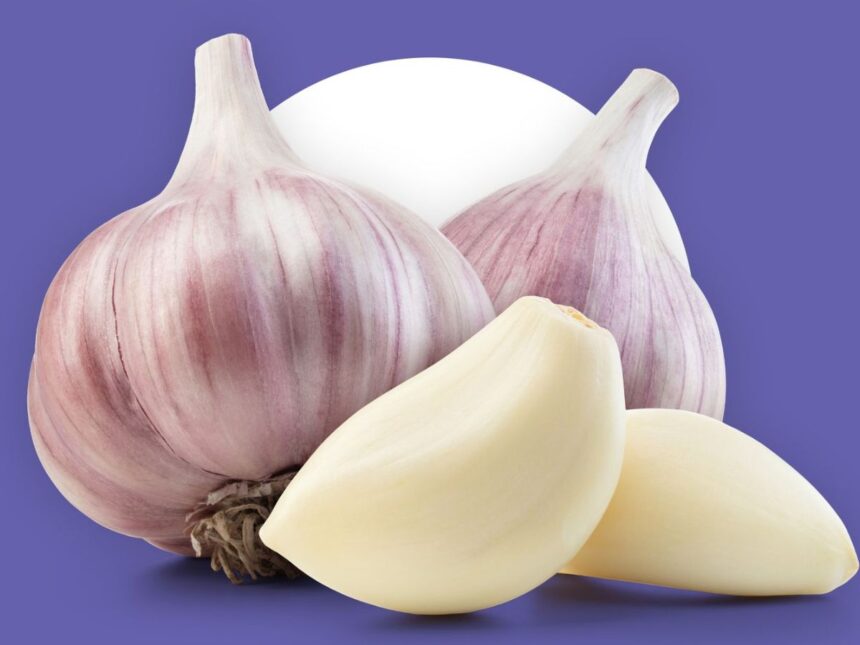 રોજ સવારે લસણની એક કાચી કળીના સેવનથી શરીરમાં થશે ચમત્કારી લાભ, ફાયદા જાણીને ચોંકી જશો 1 garlic