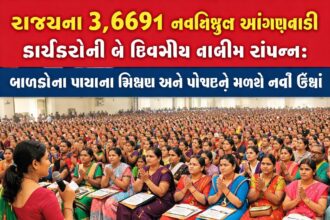 WhatsApp Image 2026 01 06 at 1.22.24 PM