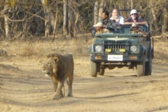 WhatsApp Image 2026 02 05 at 16.21.15