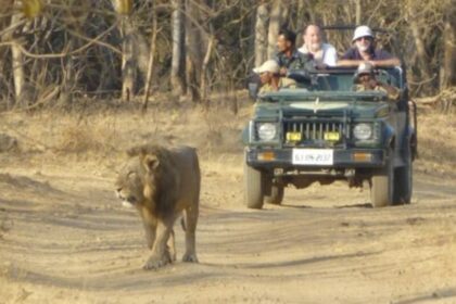 WhatsApp Image 2026 02 05 at 16.21.15