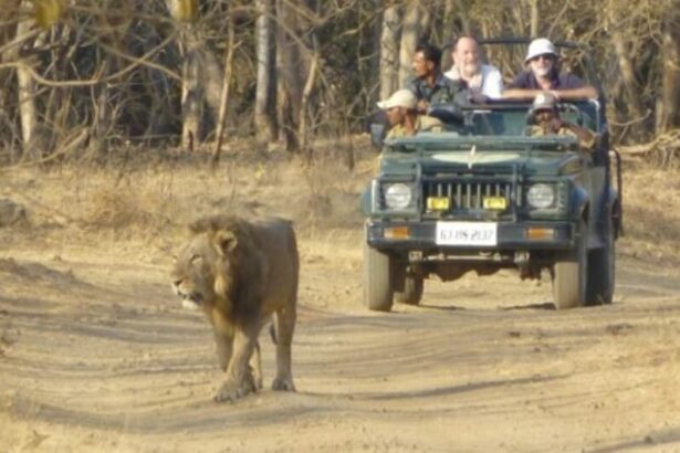 WhatsApp Image 2026 02 05 at 16.21.15