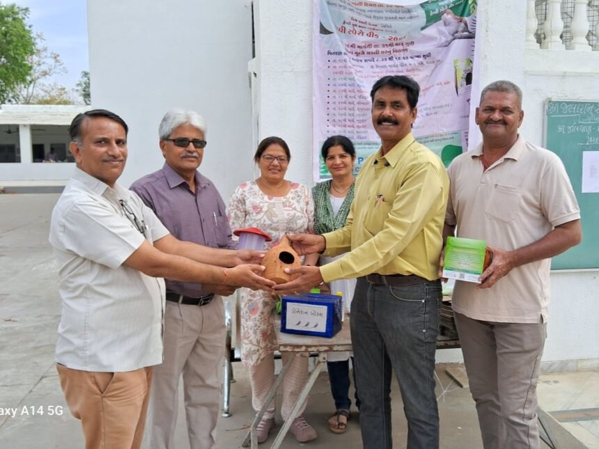 ગુજરાતના પાટનગરના 'રિયલ લાઈફ હીરો' એવા ગાંધીનગરના 'સ્પેરો મેન' , દર વર્ષે હજારો ચકલી ઘરોનું કરે છે વિતરણ 1 sparrow